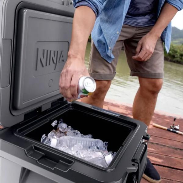 Container izotermic Ninja FB230EUGY 28l / / Gray photo 9