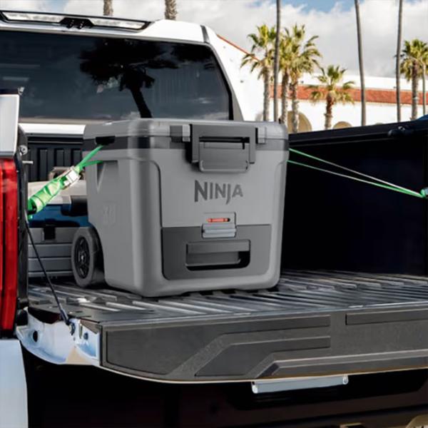 Container izotermic Ninja FB230EUGY 28l / / Gray photo 11