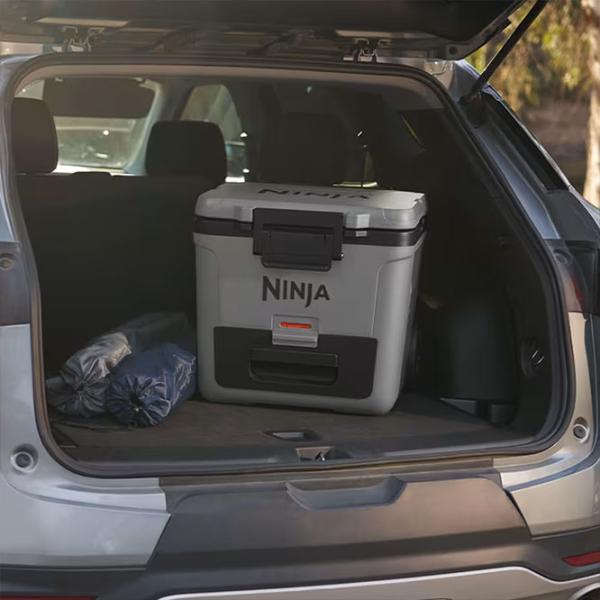 Container izotermic Ninja FB230EUGY 28l / / Gray photo 12