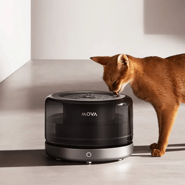Fântâna inteligentă pentru animale Mova WF20 Pro Inox photo 3