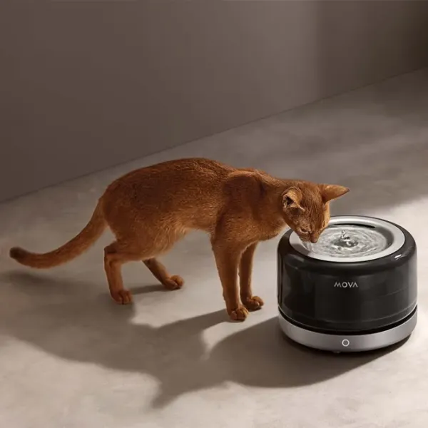 Fântâna inteligentă pentru animale Mova WF20 Pro Inox photo 4
