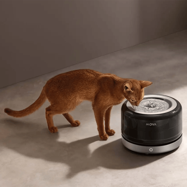 Fântâna inteligentă pentru animale Mova WF20 Pro Inox photo 4