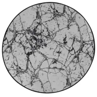 Коврик для ванной Trendy Marble Полиэстер / Белый