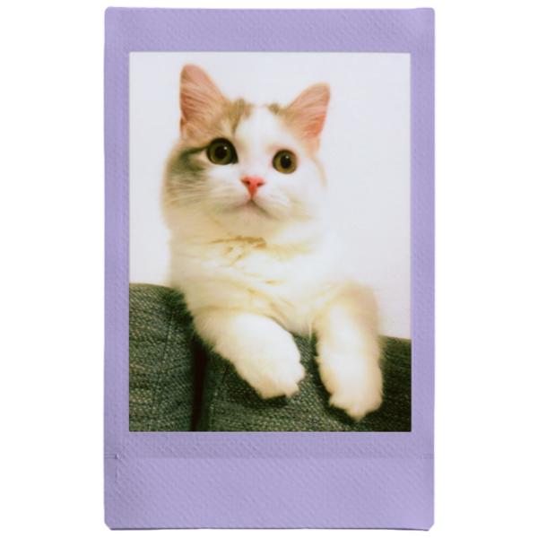 Hârtie foto pentru Instax Mini / / Violet photo 2