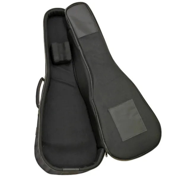 Чехол для гитары Aria ABC-300 EB BK Черный / Nailon photo 3