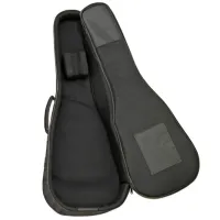 Чехол для гитары Aria ABC-300 EB BK Черный / Nailon photo 3