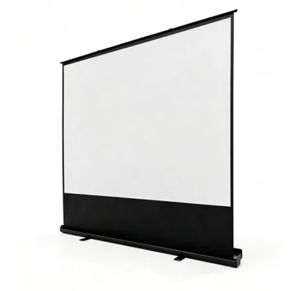 Ecran pentru proiector Reflecta Floor screen portable 124 cm / 221 cm / Pe podea / Black photo 2