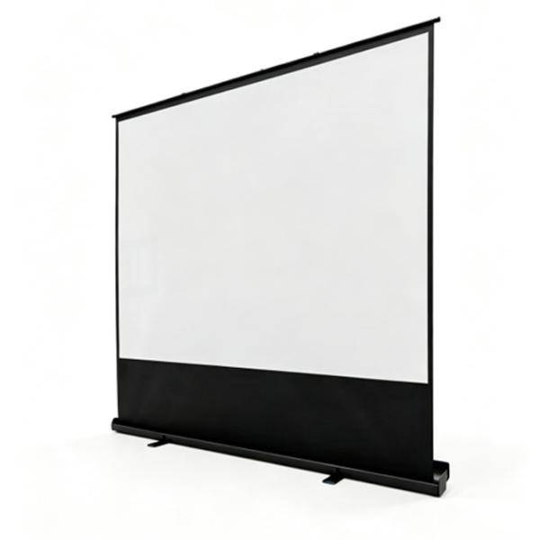 Ecran pentru proiector Reflecta Floor screen portable 124 cm / 221 cm / Pe podea / Black photo 2