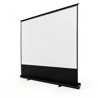 Ecran pentru proiector Reflecta Floor screen portable 124 cm / 221 cm / Pe podea / Black photo 2