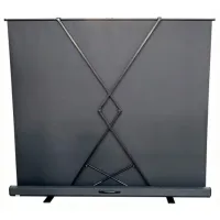 Ecran pentru proiector Reflecta Floor screen portable 124 cm / 221 cm / Pe podea / Black photo 4