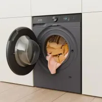 Стиральная машина Gorenje WG814A5T4 10 кг / 1400 об/мин / Титан photo 7