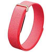 Google Fitbit Air / Red