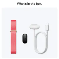 Google Fitbit Air / Red photo 4