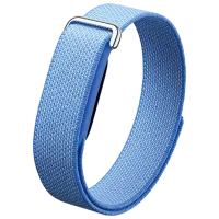 Google Fitbit Air / Lavender