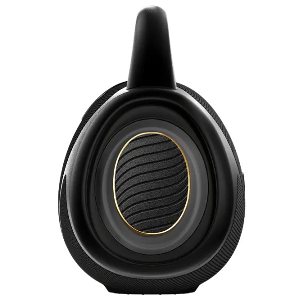 Портативная колонка Hisense WeBoom 272 Вт/ Черный photo 6