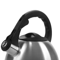 Ceainic Polaris Verde 2.2l Oțel inoxidabil / Bachelit / Inox photo 5