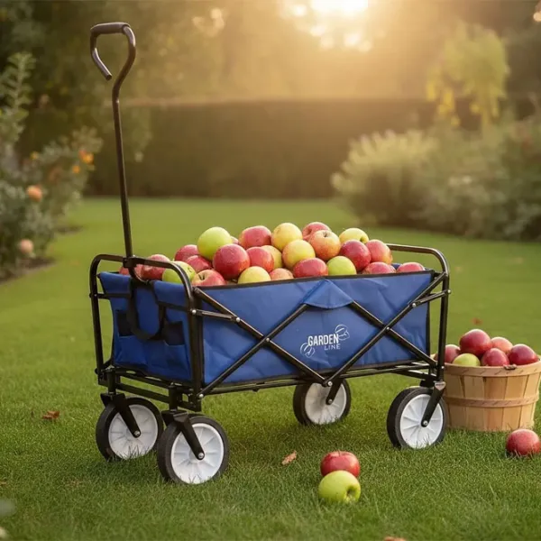 Cărucior de grădină GardenLine WOZ3556 Blue / 1 photo 4