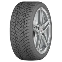 Шины Arivo Ice Claw ARW7 285/35 R21 105T XL Зимние / Легковой