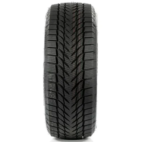 Шины Centara Vanti Winter 215/65 R16 98H Зимние / Легковой photo 2
