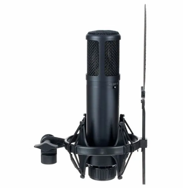 Микрофон SE Electronics sE2200 Черный photo 2