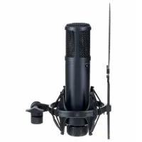 Микрофон SE Electronics sE2200 Черный photo 2