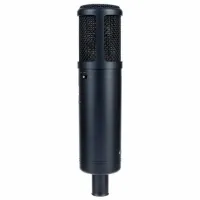 Микрофон SE Electronics sE2200 Черный photo 9