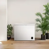 Ladă frigorifică Gorenje FH25EAW 248l / White photo 4