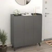 Dulap pentru încălțăminte Bofigo 12-30 102.1 x 90 x 31.8 /Anthracite /Anthracite photo 2
