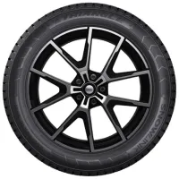 Anvelope Triangle PL01 235/65 R17 108R Iarnă / Autoturism photo 3