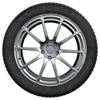 Anvelope Linglong Sport Master 4S 225/55 R17 101V All-season / Autoturism photo 3