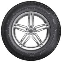 Anvelope Triangle LL01 235/65 R16C 115/113R 8PR Iarnă / Camionetă photo 3