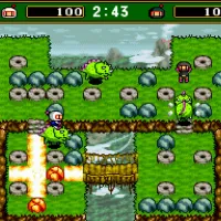 Super Bomberman Collection Game for Nintendo Switch photo 8